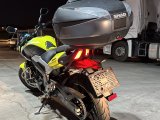 Shad 48 lt dominar canta demiri