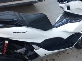 Temiz Honda pcx